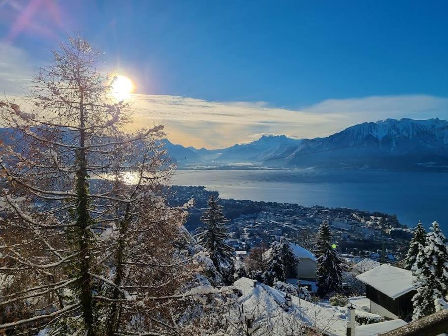Le Toit De Chardonne - Entre Alpes Et Lac Leman Kültér fotó