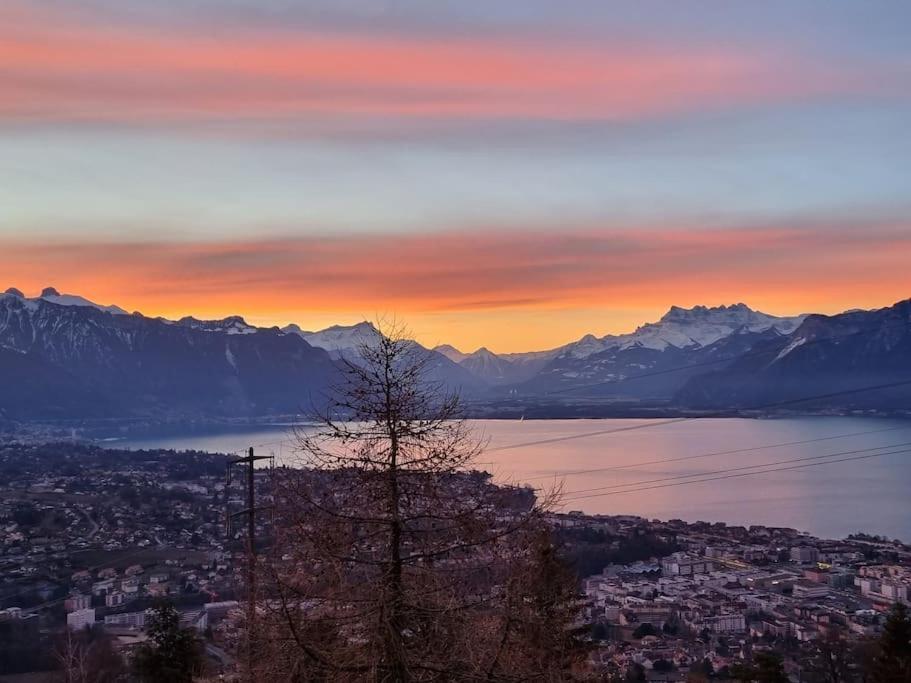 Le Toit De Chardonne - Entre Alpes Et Lac Leman Kültér fotó