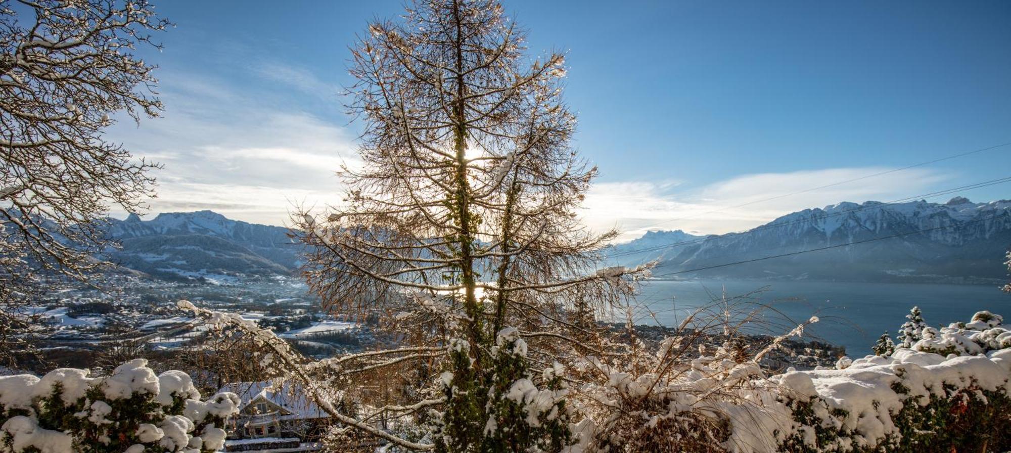 Le Toit De Chardonne - Entre Alpes Et Lac Leman Kültér fotó